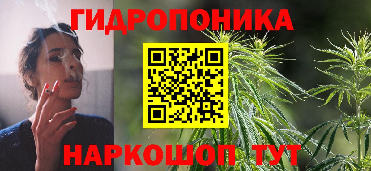 Бошки марихуана семена Балахна